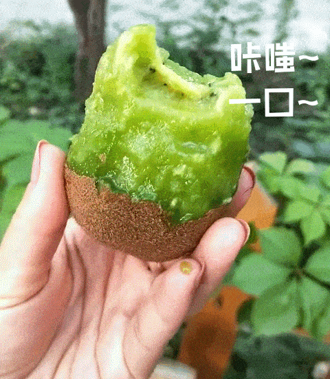 走起！這樣的采摘游玩樂(lè)趣千萬(wàn)別錯(cuò)過(guò)——獼猴桃采摘基地合集