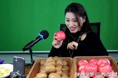 專業(yè)合作社引領(lǐng)，果農(nóng)增收致富路——扶風(fēng)獼猴桃實(shí)現(xiàn)全年供應(yīng)與銷售新突破