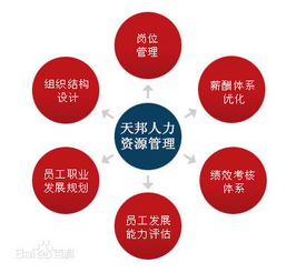 鄭州社保公積金代理、勞務派遣與人事外包服務全解析